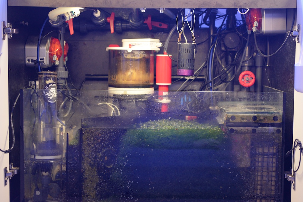 DSC_2302.jpg