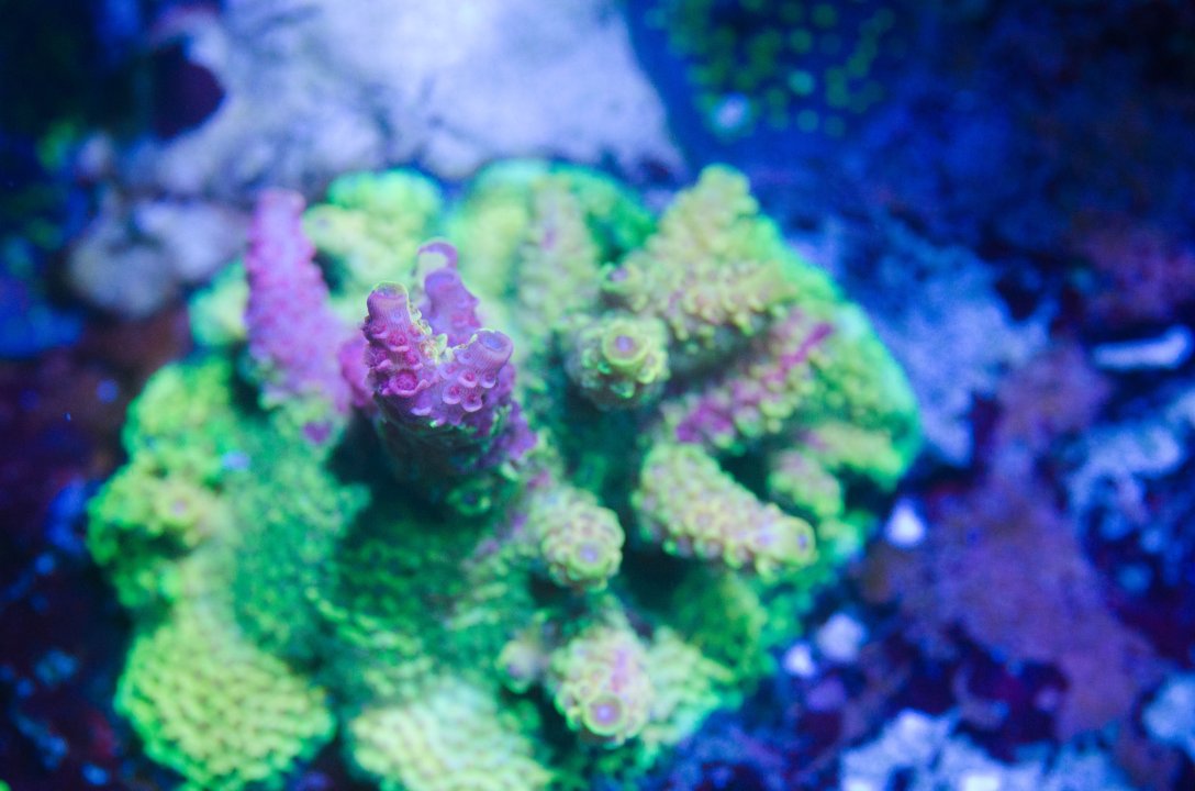 DSC_4665.jpg