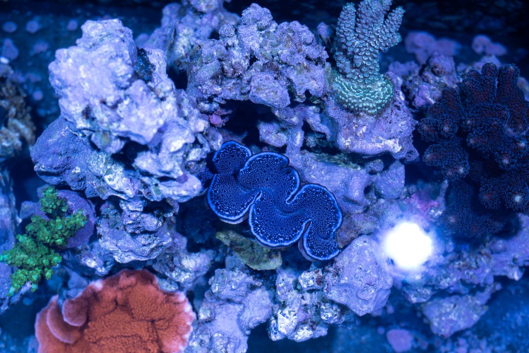 DSC_4673.jpg
