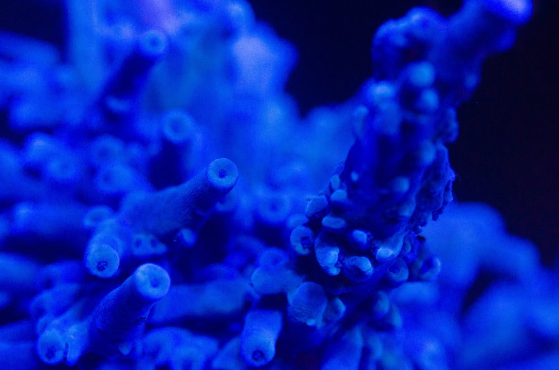DSC_4673.jpg