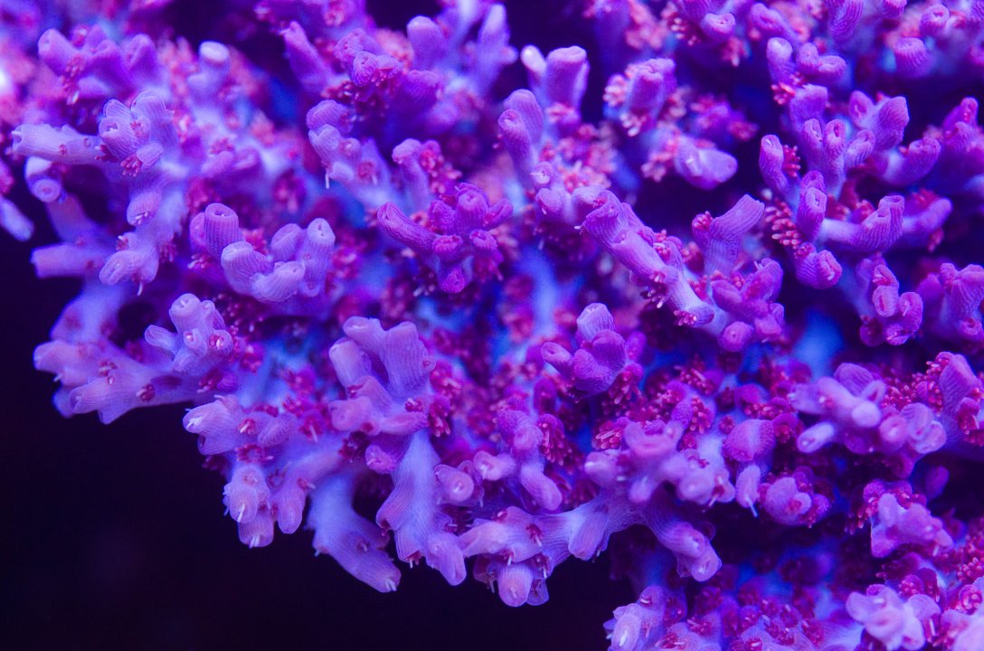 DSC_4674.jpg