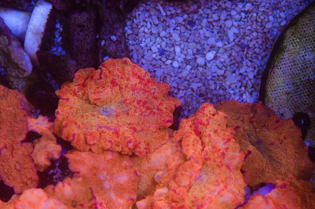 DSC_4677.jpg