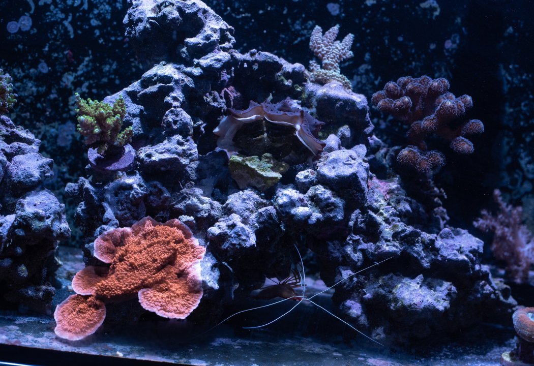 DSC_4682.jpg