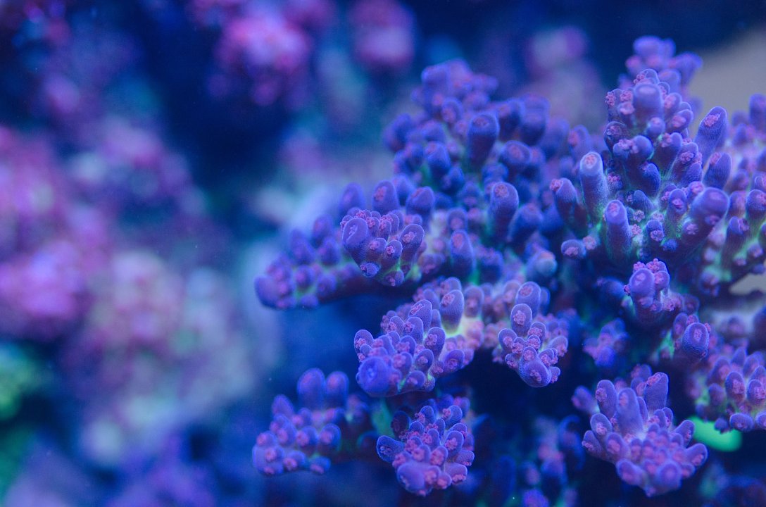 DSC_4801.jpg