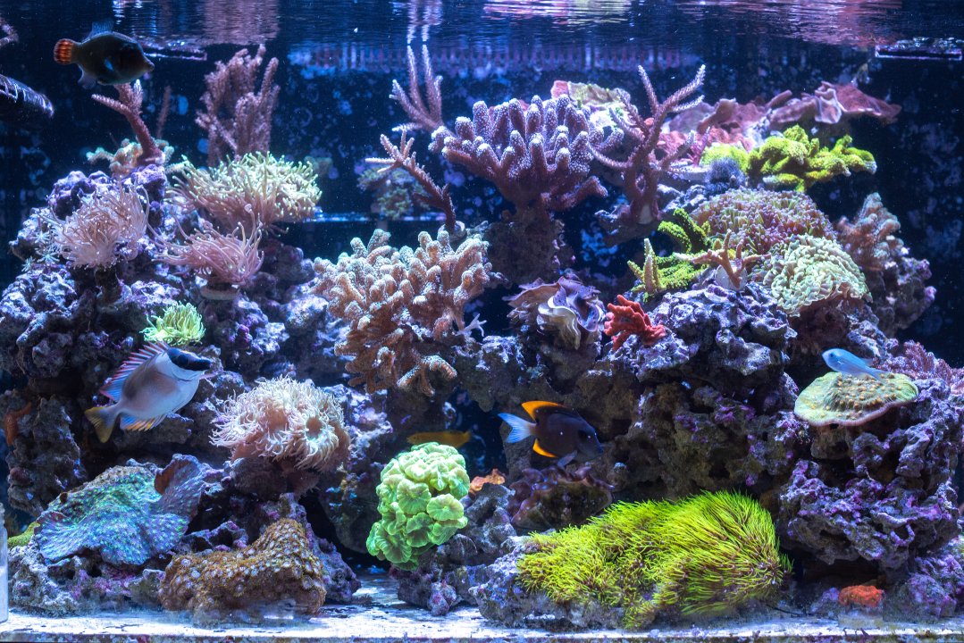 DSC_5058.jpg