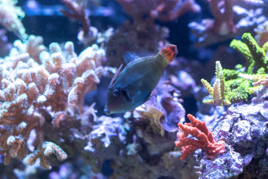 DSC_5104.jpg