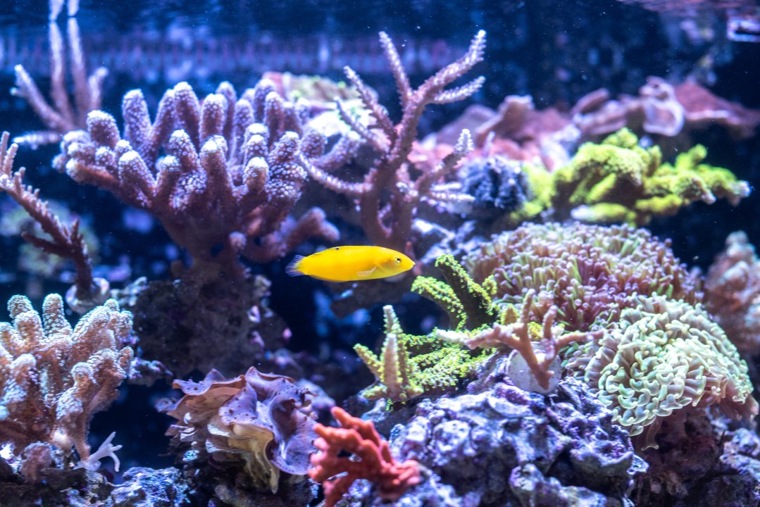 DSC_5114.jpg