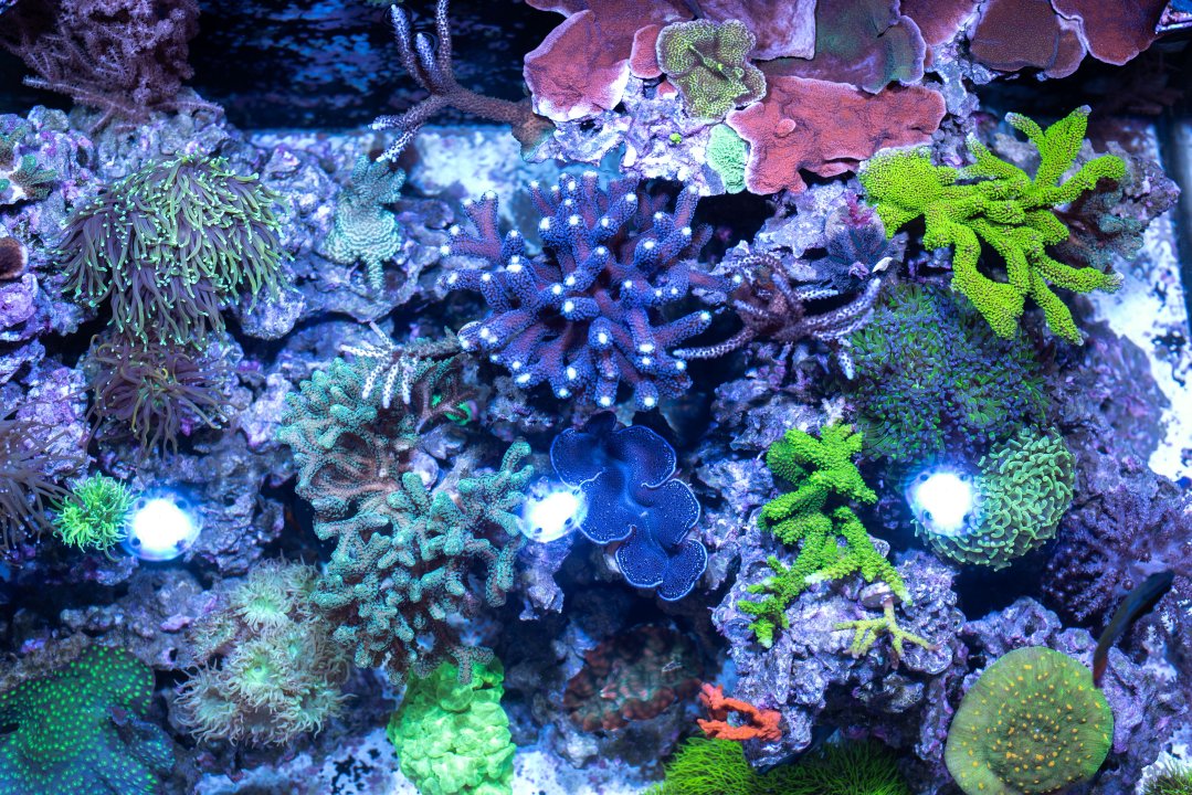 DSC_5119.jpg