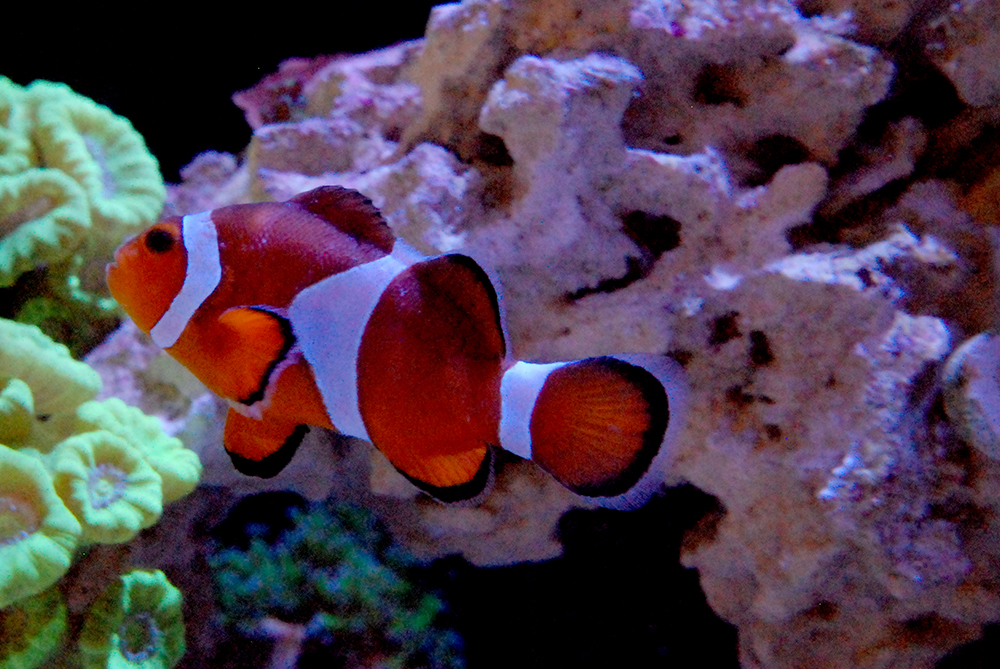 DSC_6017.JPG