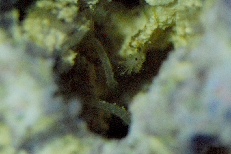 DSC_6602.jpg