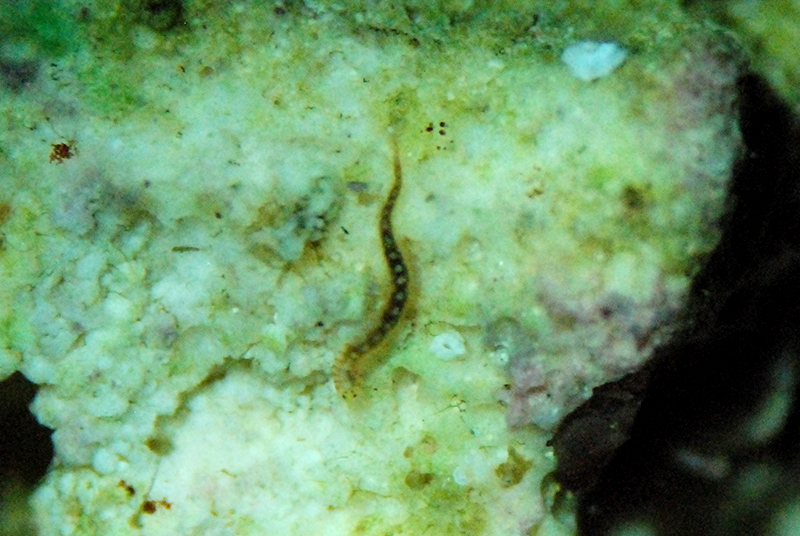 DSC_6760.JPG