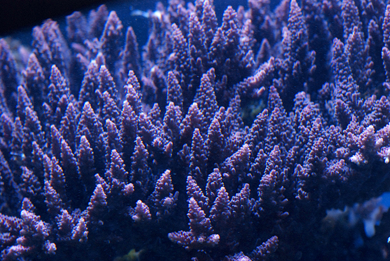 DSC_7621.JPG