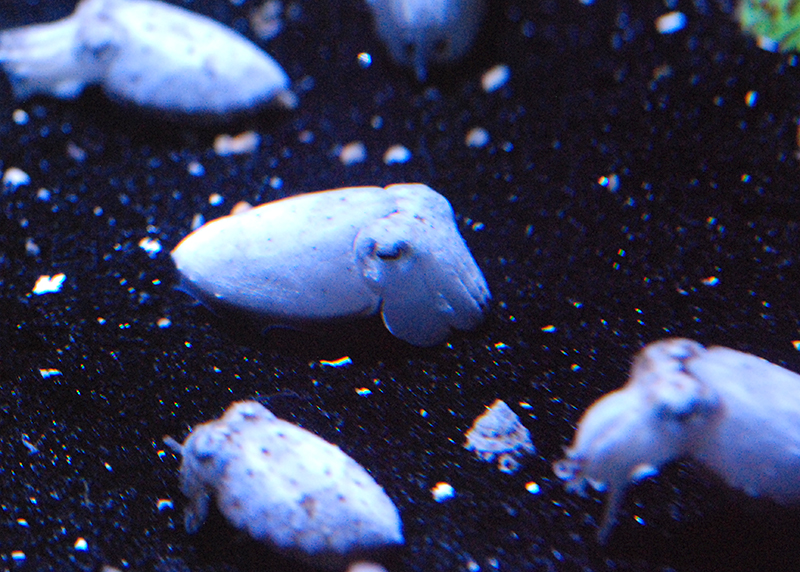 DSC_7713.JPG