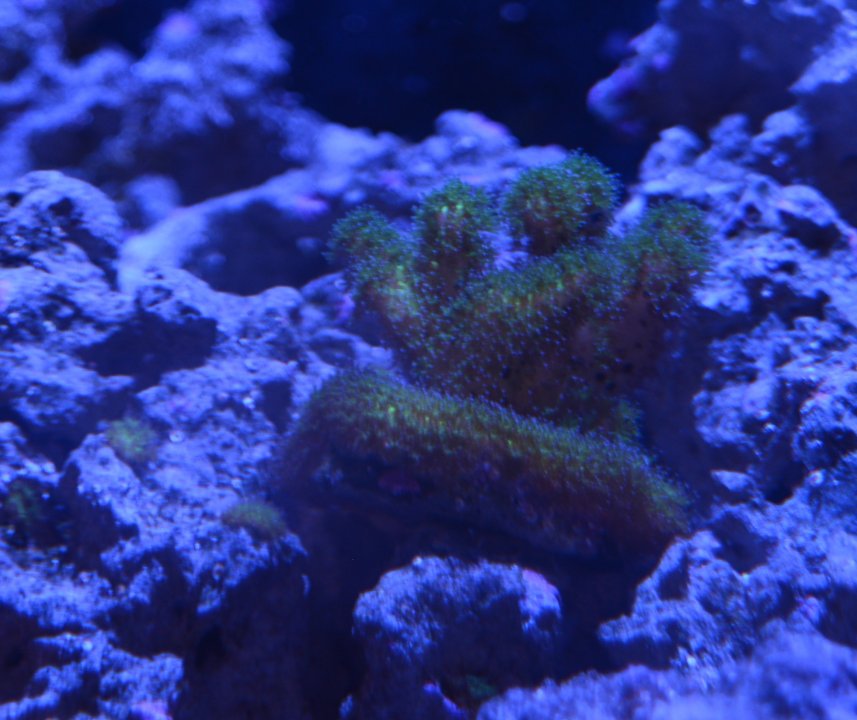 DSC_8076.JPG