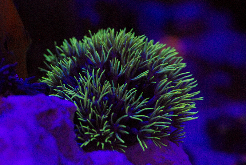 DSC_8563.JPG