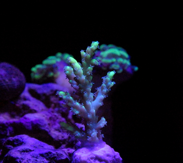 DSC_8729.JPG