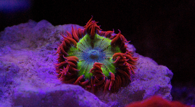 DSC_9981.jpg