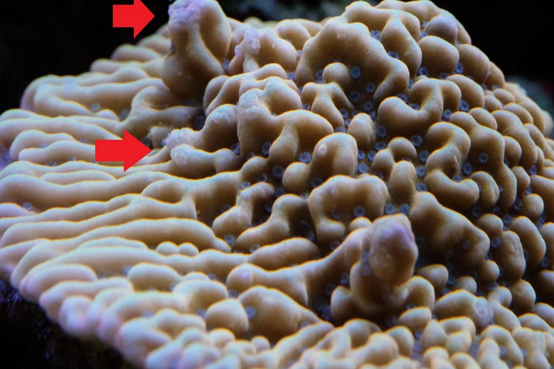 DSCF2187.jpg