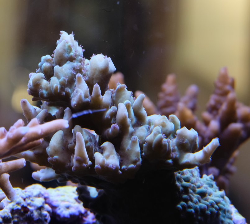 DSCF2189.jpg