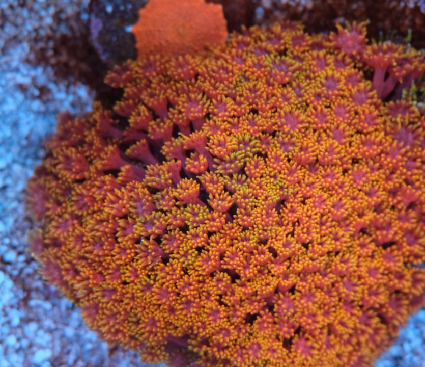 DSCF2212.JPG