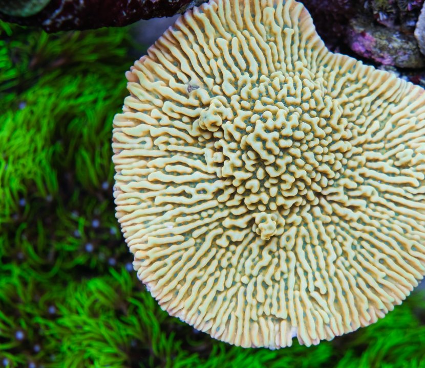 DSCF2389.jpg
