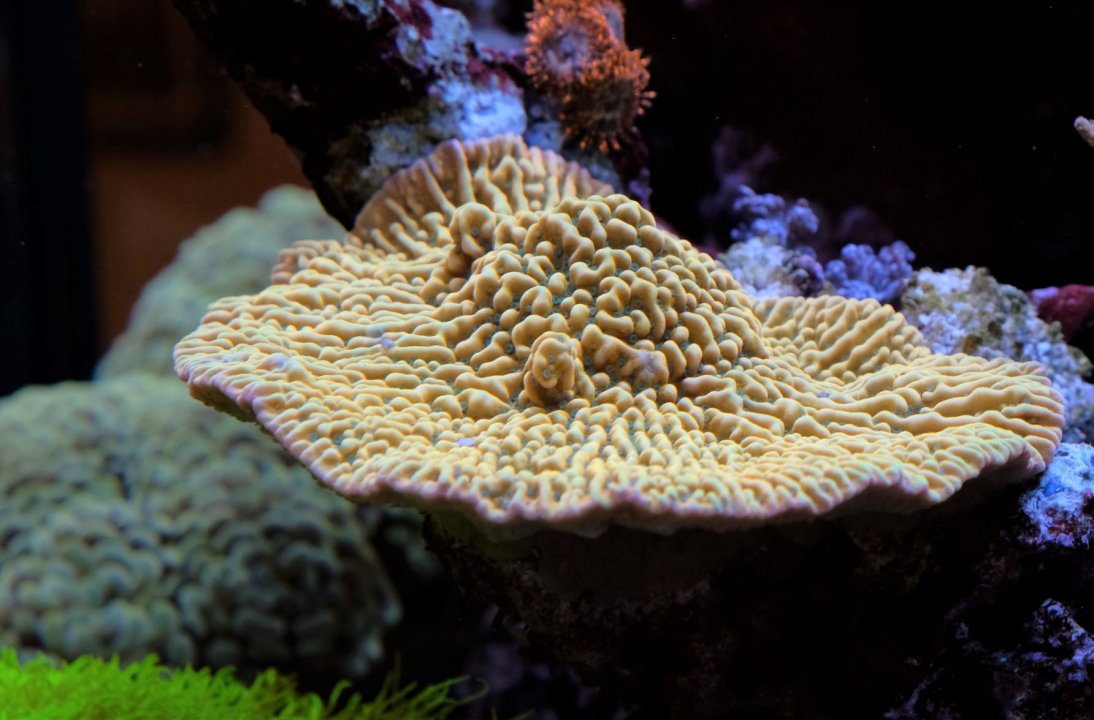 DSCF2534.JPG