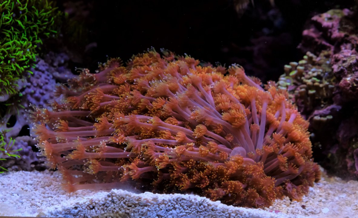 DSCF3329.jpg