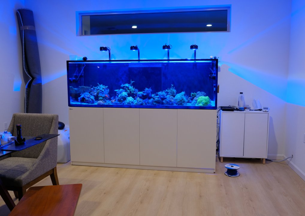 DSCF3724.jpg