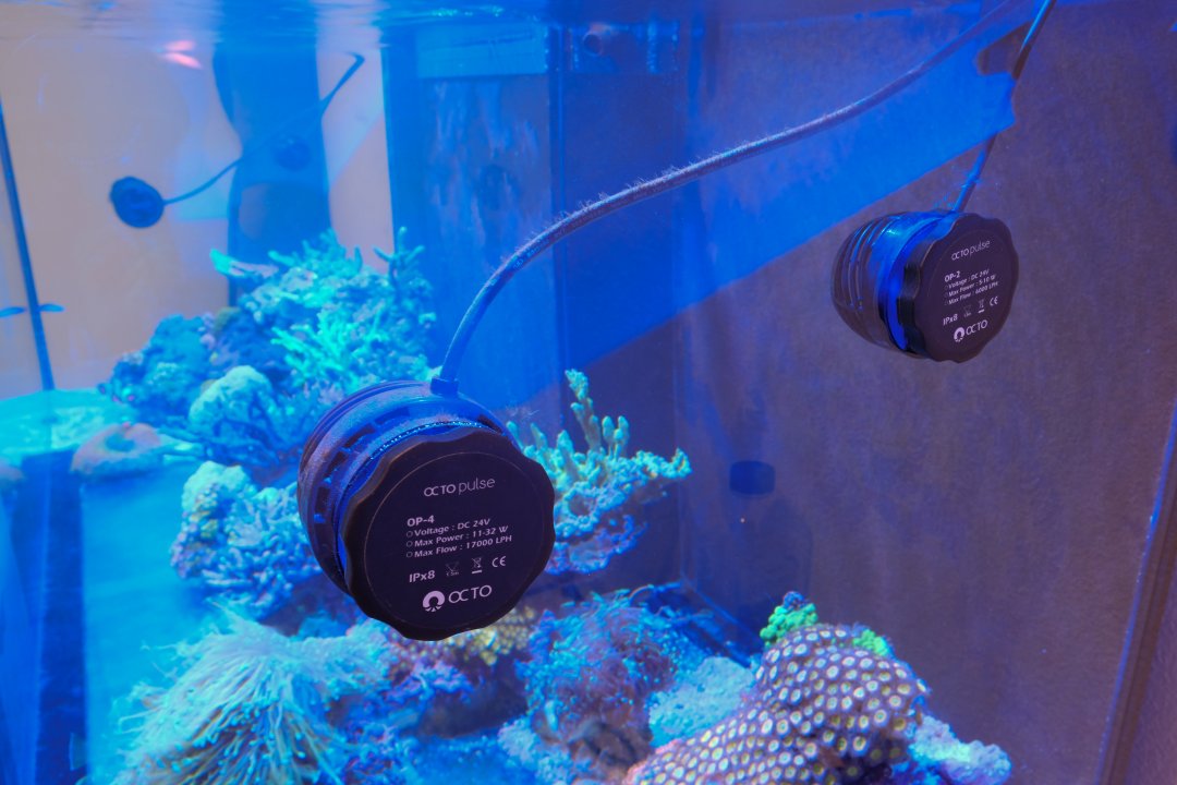 DSCF3728.jpg