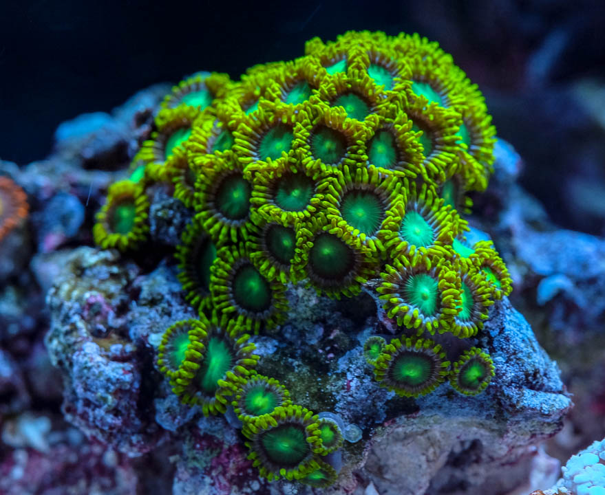 DSCF4450.jpg