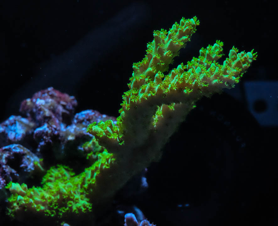 DSCF4533.jpg