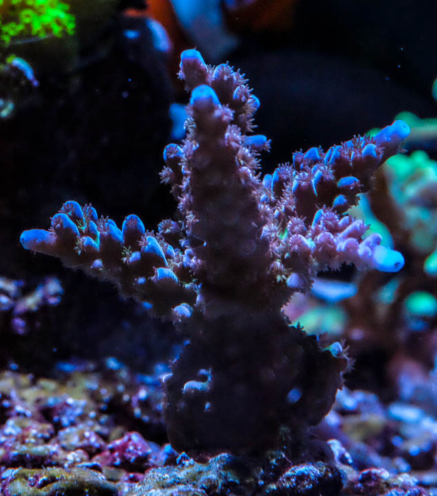 DSCF4534.jpg