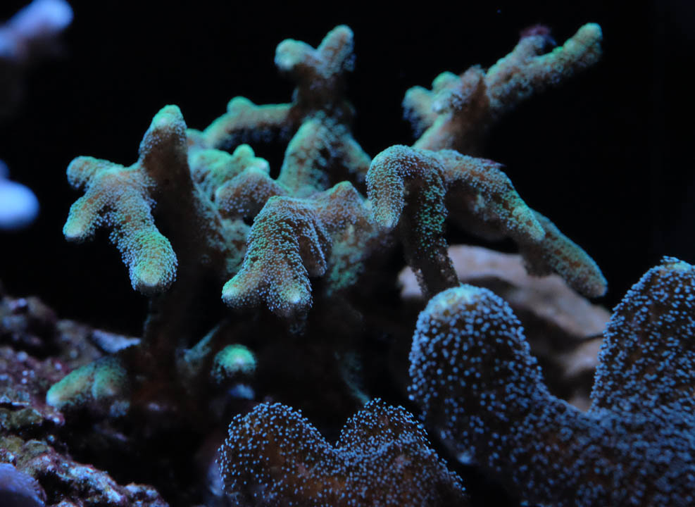 DSCF4538.jpg