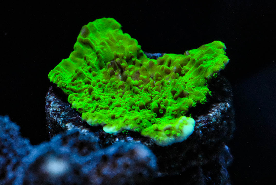 DSCF4544.jpg