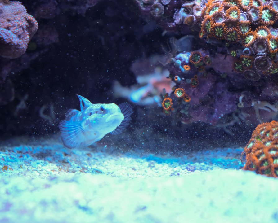 DSCF4679.jpg