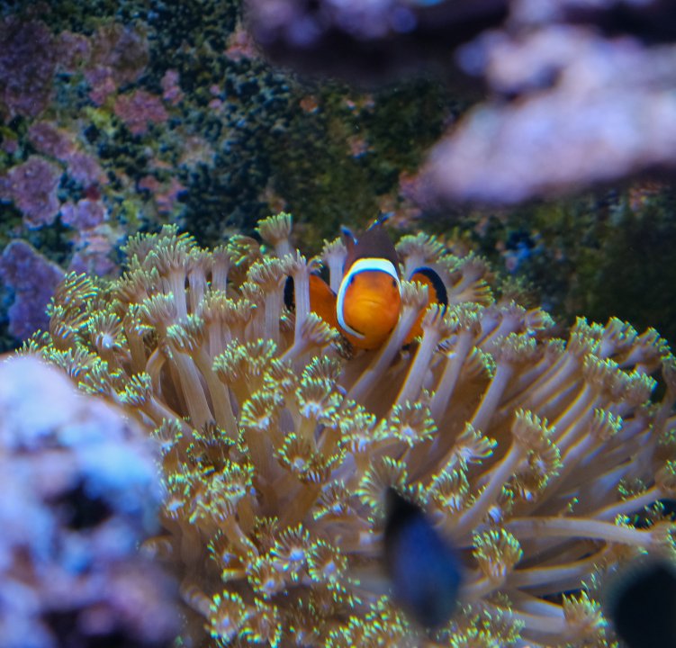 DSCF5146.jpg