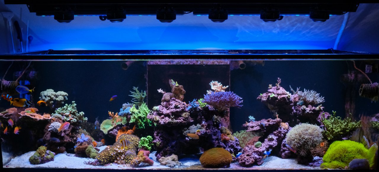 DSCF5168.jpg