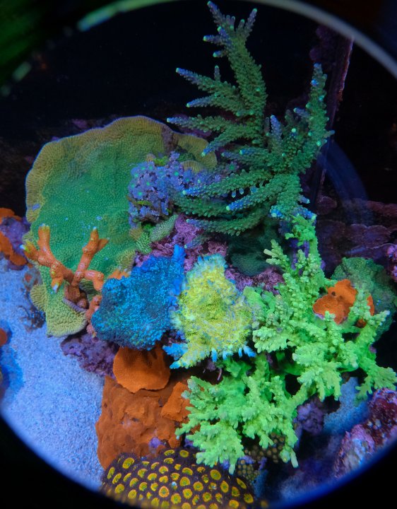 DSCF5308.jpg