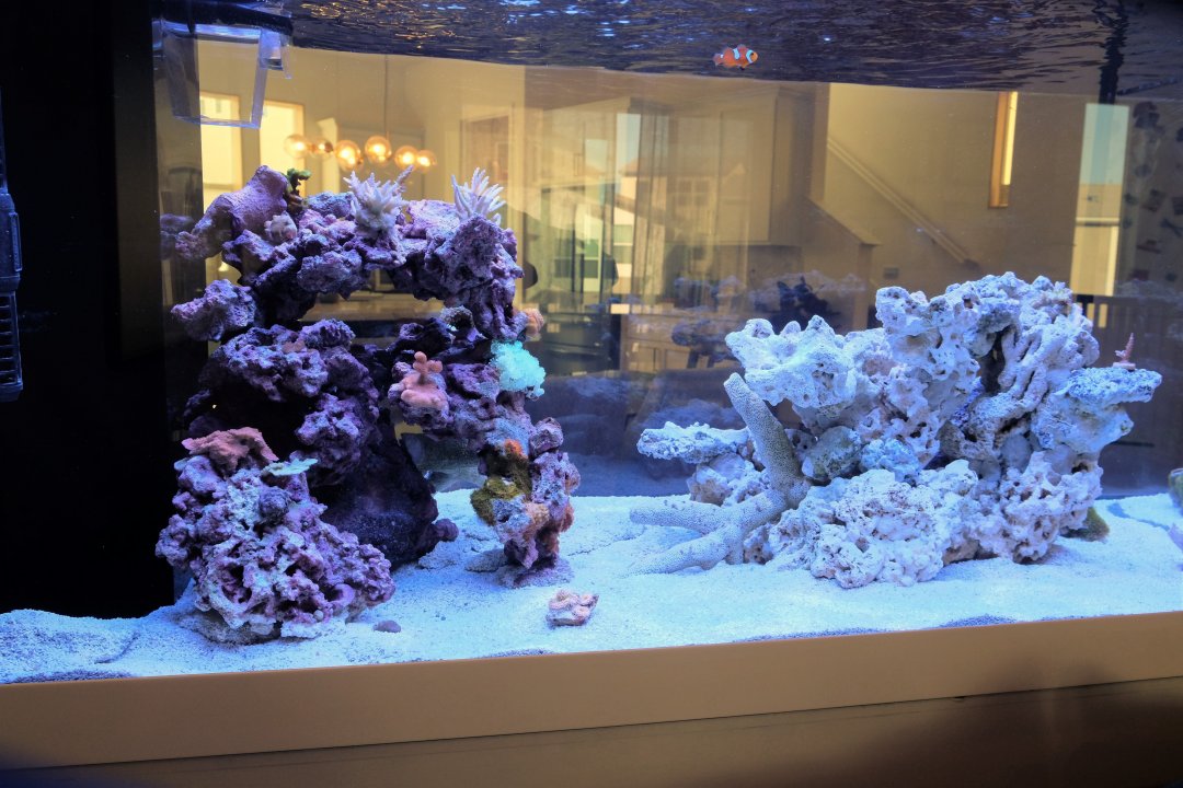 DSCF9512.jpg