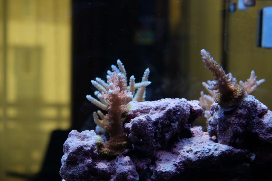 DSCF9585.jpg