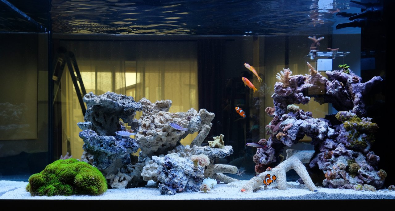 DSCF9599.jpg