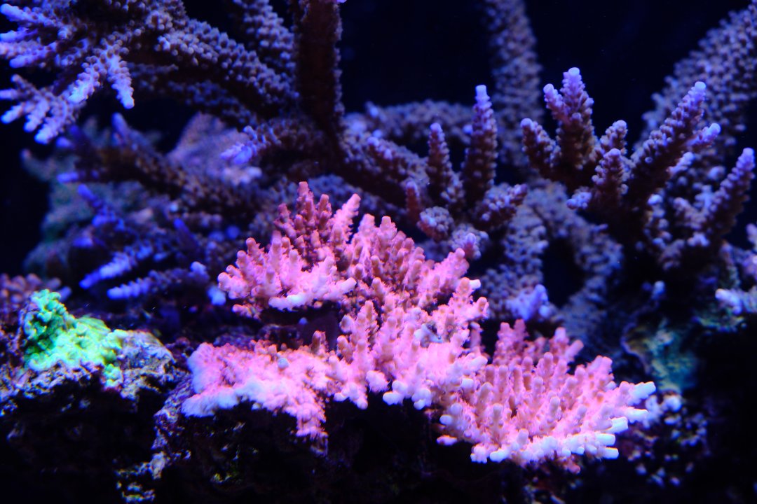 DSCF9817.JPG