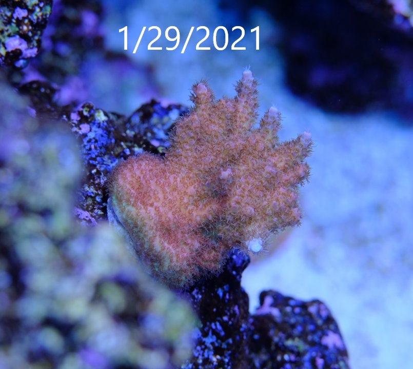 DSCF9953.jpg