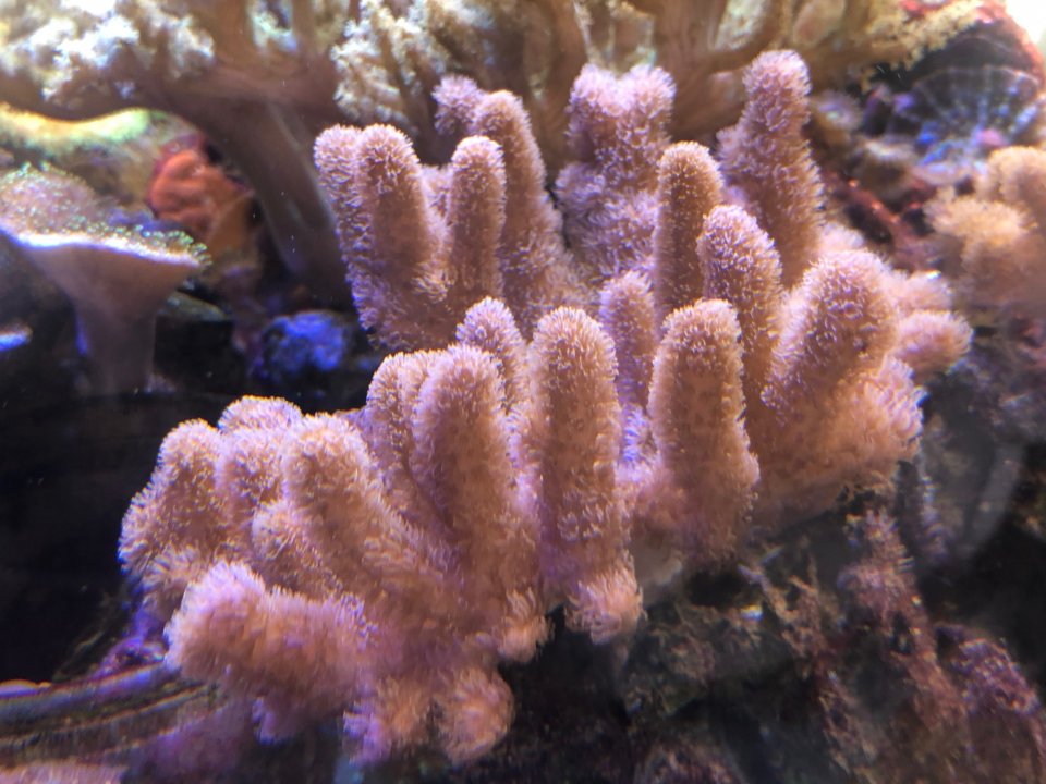 E07399E5-0D17-4ADB-A514-87EFA28F95B6.jpeg