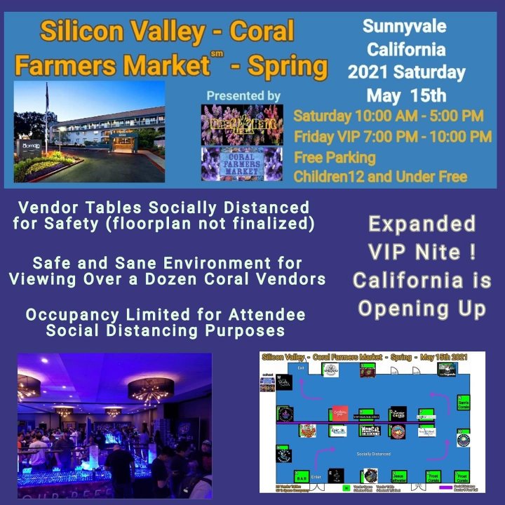 Coral farmers market Bay Area Reefers BAR