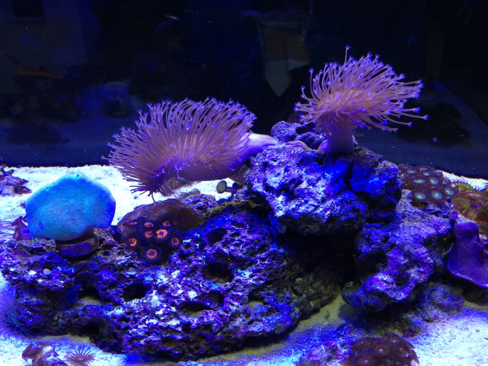E1D7EDBC-67E2-45D5-8556-FFC29AD5E402.jpeg