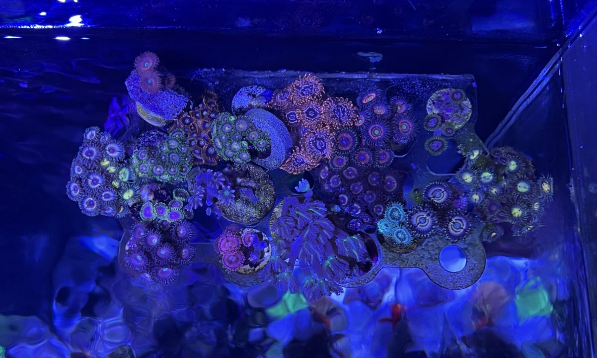 E547490C-2725-4910-AD7A-948C88C1E38C.jpeg