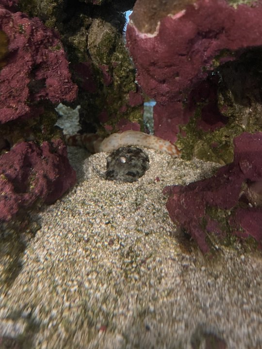 E8D1267D-4336-4925-9580-2F9313103E39.jpeg
