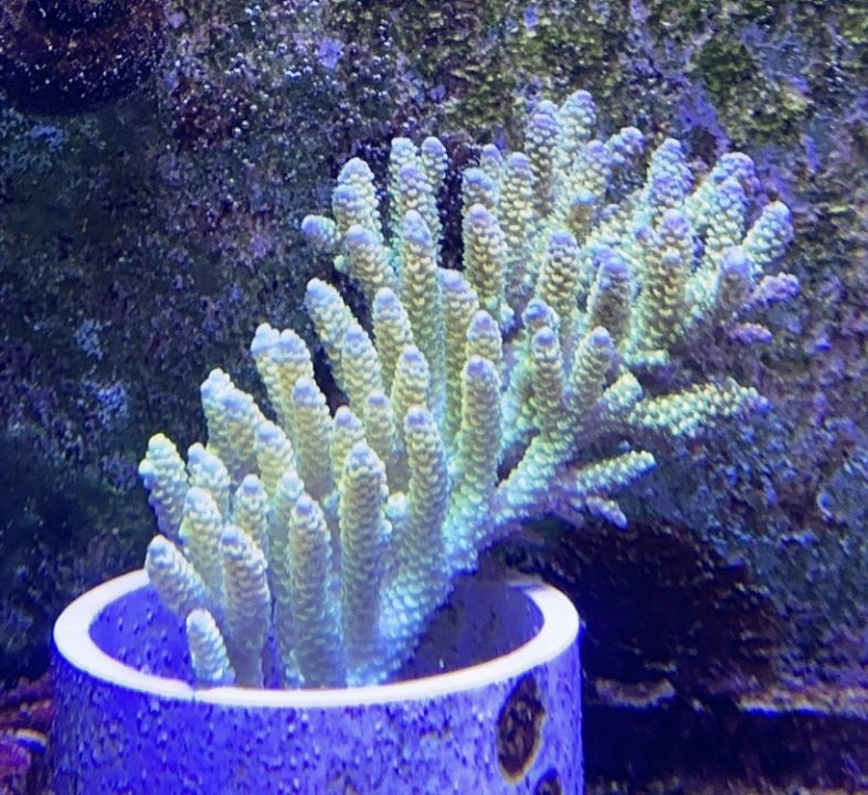 EE3E7868-8F3D-4602-8B5D-6463775AD2AE.jpeg