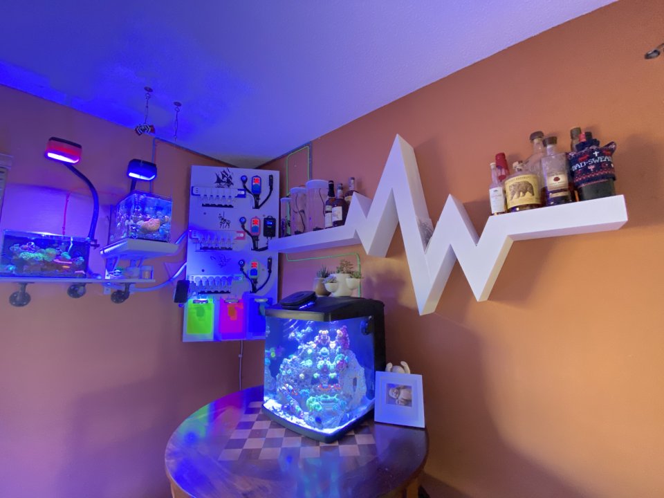 FCDBFDBE-40F4-4751-A5F7-30D59C8B9D2B.jpeg